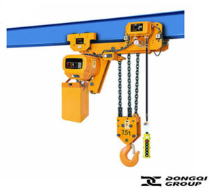 chain hoist supplier 